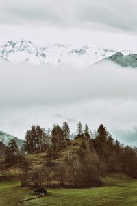 Preview wallpaper mountains, trees, hilly, relief, fog