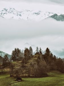 Preview wallpaper mountains, trees, hilly, relief, fog