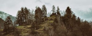 Preview wallpaper mountains, trees, hilly, relief, fog