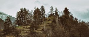 Preview wallpaper mountains, trees, hilly, relief, fog