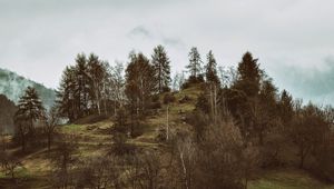 Preview wallpaper mountains, trees, hilly, relief, fog