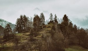 Preview wallpaper mountains, trees, hilly, relief, fog