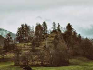 Preview wallpaper mountains, trees, hilly, relief, fog