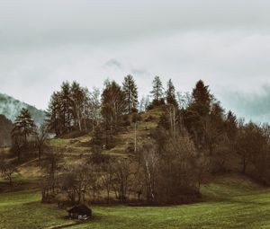Preview wallpaper mountains, trees, hilly, relief, fog