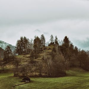Preview wallpaper mountains, trees, hilly, relief, fog