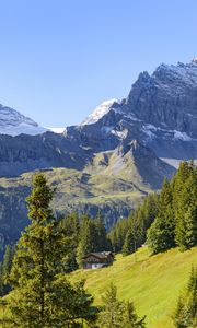 Preview wallpaper mountains, trees, house, landscape, nature