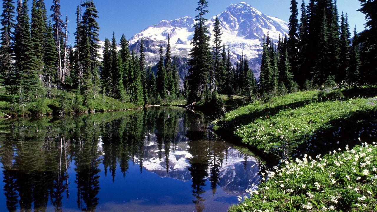 Wallpaper mountains, trees, lake, water, transparent hd, picture, image