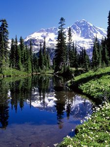 Preview wallpaper mountains, trees, lake, water, transparent