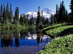 Preview wallpaper mountains, trees, lake, water, transparent