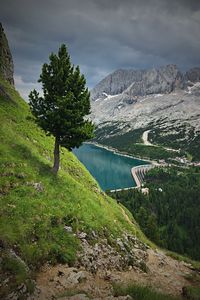 Preview wallpaper mountains, trees, lake, dam, landscape