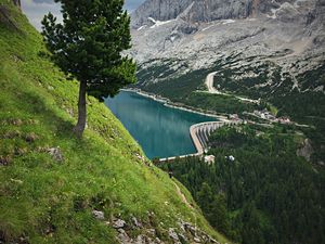 Preview wallpaper mountains, trees, lake, dam, landscape