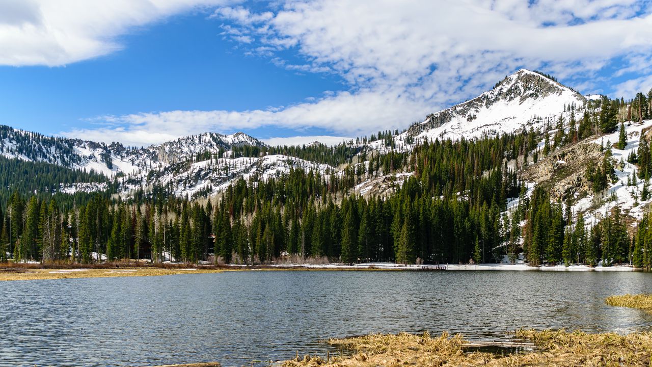 Wallpaper mountains, trees, lake, landscape