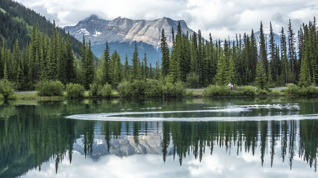 Wallpaper mountains, trees, lake, reflection, landscape