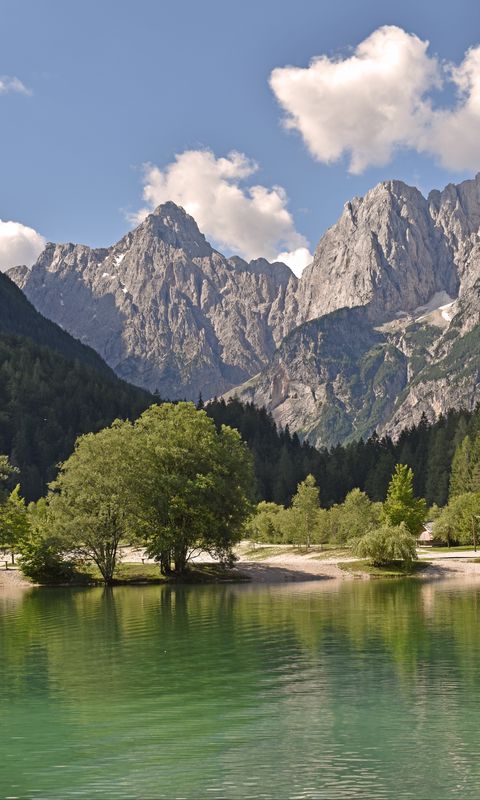 Download wallpaper 480x800 mountains, trees, lake, nature nokia x, x2, xl,  520, 620, 820, samsung galaxy star, ace, asus zenfone 4 hd background