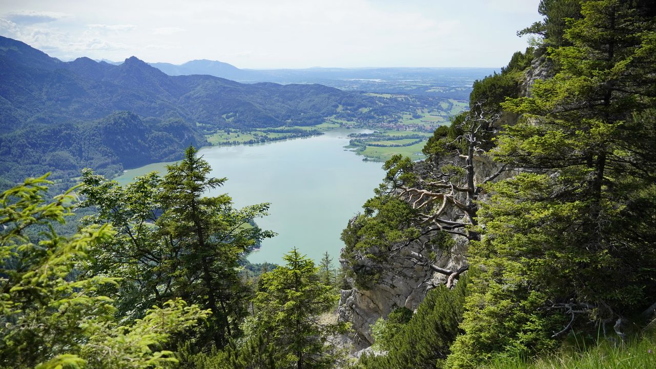 Wallpaper mountains, trees, lake, landscape, aerial view