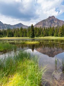 Preview wallpaper mountains, trees, lake, grass, nature, landscape