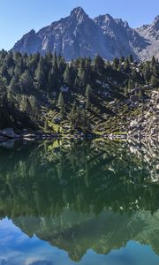 Preview wallpaper mountains, trees, lake, landscape, reflection