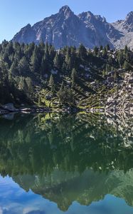 Preview wallpaper mountains, trees, lake, landscape, reflection
