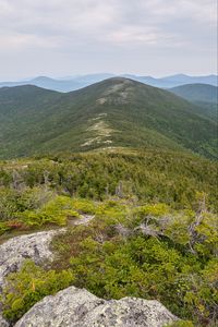 Preview wallpaper mountains, trees, landscape, relief, nature