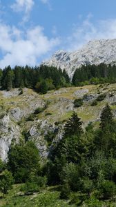 Preview wallpaper mountains, trees, landscape, slope, nature