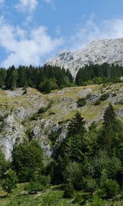 Preview wallpaper mountains, trees, landscape, slope, nature