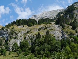 Preview wallpaper mountains, trees, landscape, slope, nature