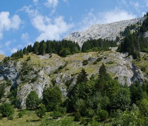 Preview wallpaper mountains, trees, landscape, slope, nature