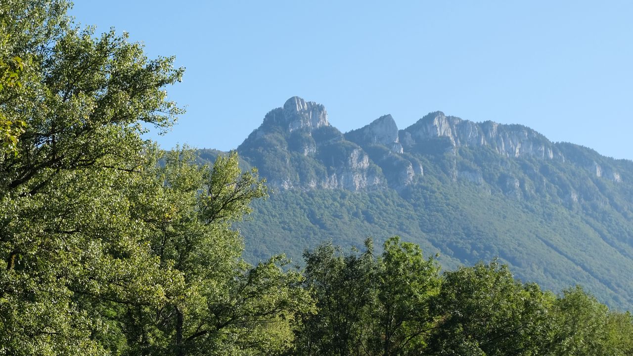 Wallpaper mountains, trees, landscape, nature, meadow, grass