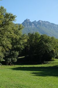 Preview wallpaper mountains, trees, landscape, nature, meadow, grass