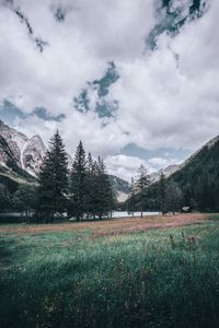 Preview wallpaper mountains, trees, landscape, italy