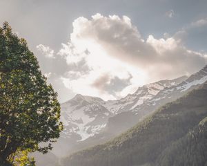 Preview wallpaper mountains, trees, landscape, slopes, peaks