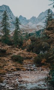 Preview wallpaper mountains, trees, landscape, river, stream