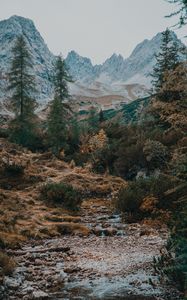 Preview wallpaper mountains, trees, landscape, river, stream