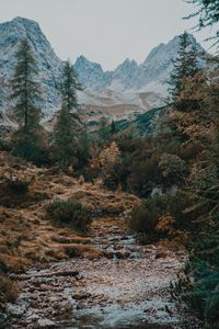 Preview wallpaper mountains, trees, landscape, river, stream