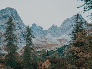 Preview wallpaper mountains, trees, landscape, river, stream