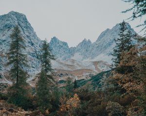 Preview wallpaper mountains, trees, landscape, river, stream