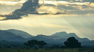 Preview wallpaper mountains, trees, landscape, nature