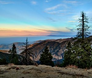 Preview wallpaper mountains, trees, landscape, view