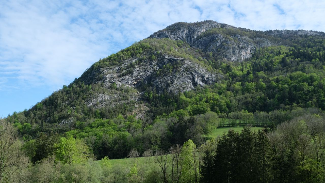 Wallpaper mountains, trees, landscape, nature, green