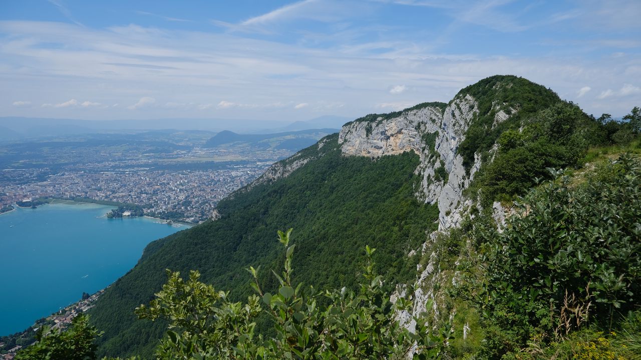 Wallpaper mountains, trees, landscape, aerial view