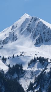 Preview wallpaper mountains, trees, landscape, slope, snow