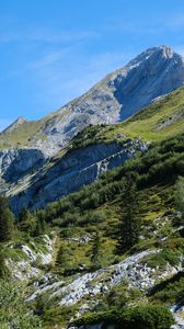 Preview wallpaper mountains, trees, nature, greenery, landscape