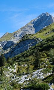 Preview wallpaper mountains, trees, nature, greenery, landscape