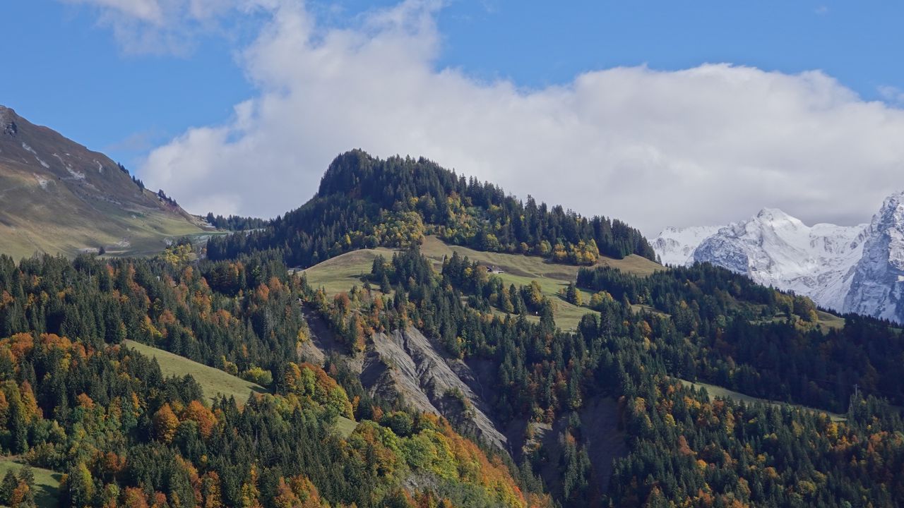 Wallpaper mountains, trees, nature, snow, landscape