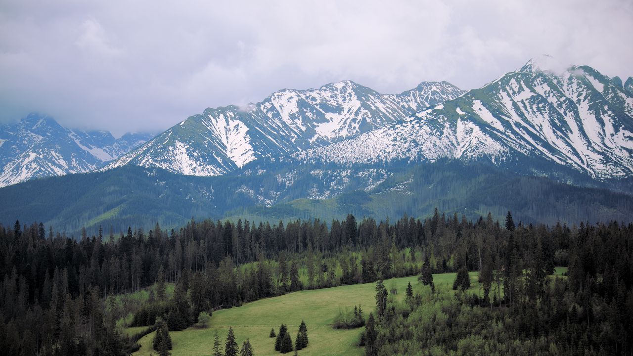 Wallpaper mountains, trees, nature, landscape, aerial view
