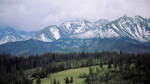 Preview wallpaper mountains, trees, nature, landscape, aerial view