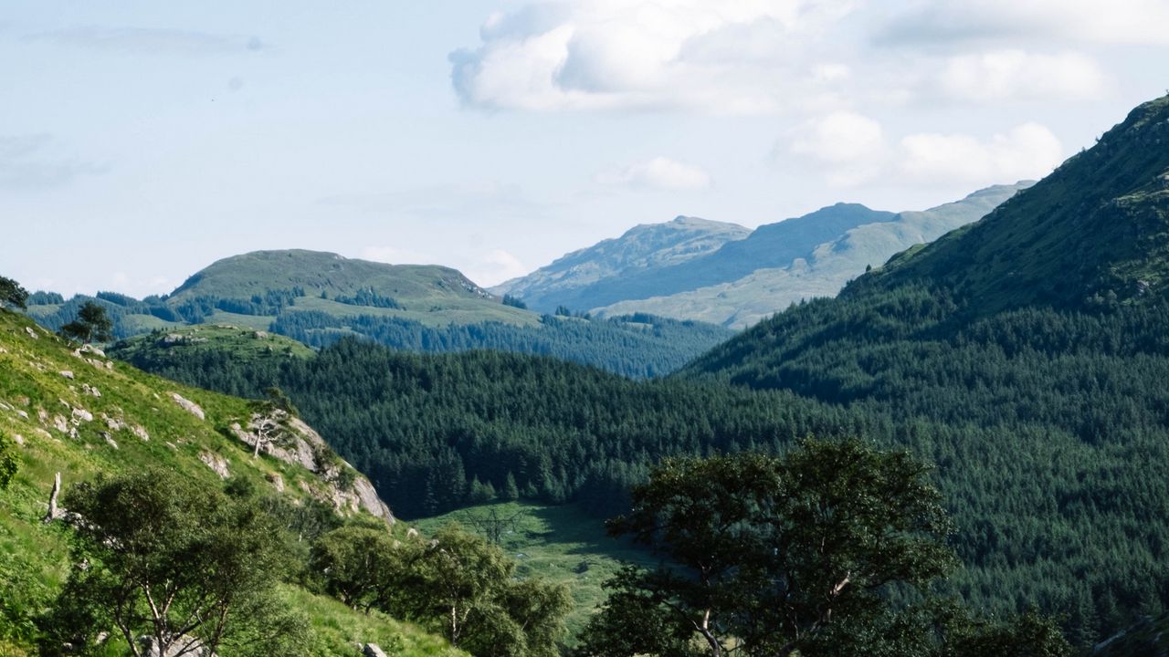 Wallpaper mountains, trees, nature, aerial view