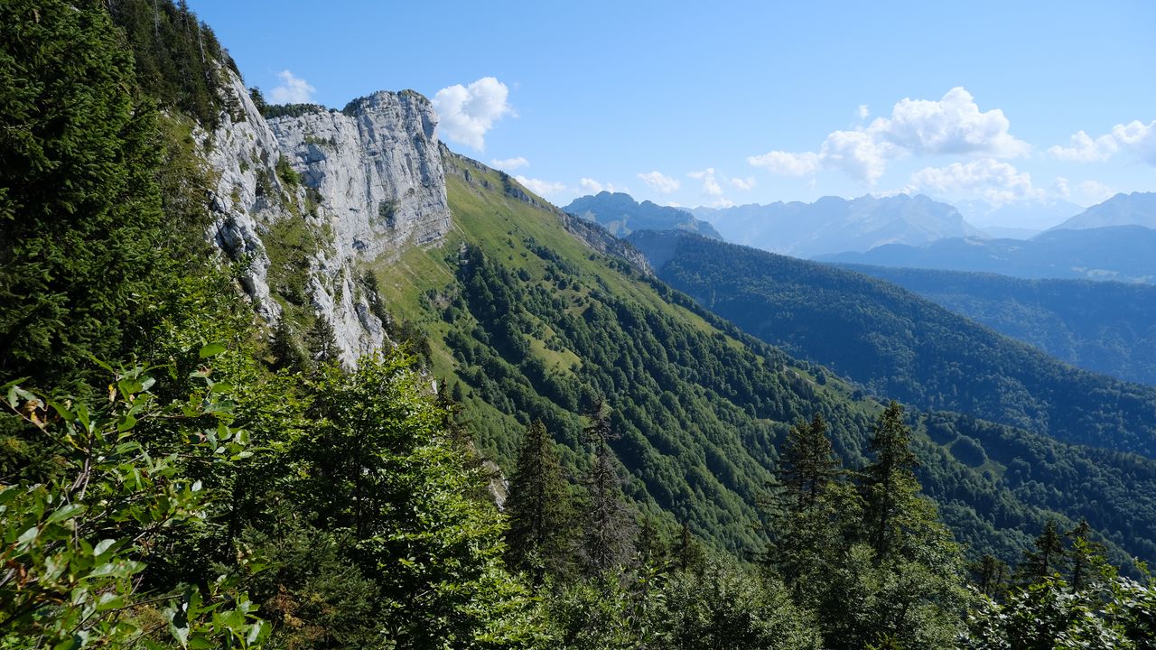 Wallpaper mountains, trees, nature