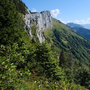 Preview wallpaper mountains, trees, nature