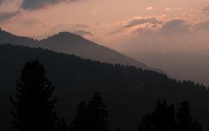 Preview wallpaper mountains, trees, night, upland, dolomites, italy